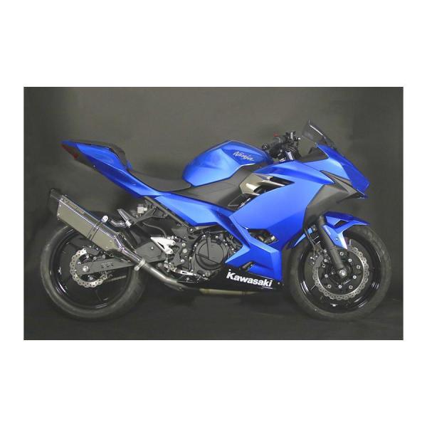 gbNX^[ [VOXbvI}t[ CJd`XeJ[{ Ninja250 jW250/400