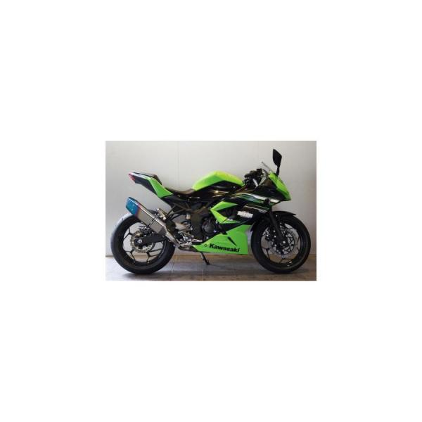 gbNX^[ [VOXbvI}t[ VO IKAZUCHI Ninja250 jW250SL