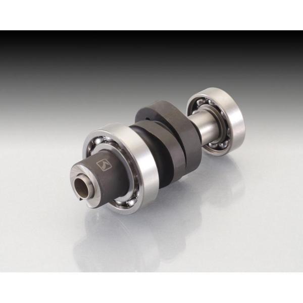 L^R nCJVtg C110 JA10