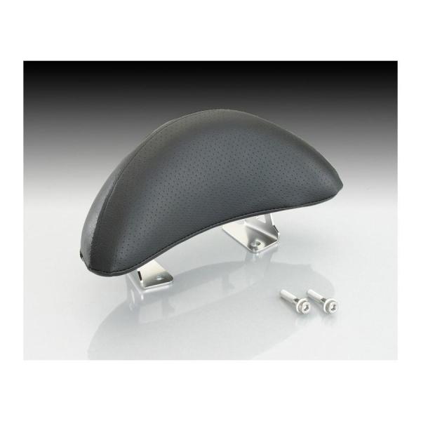 L^R ^fobNXg [h125 JF45SԎ Vo[