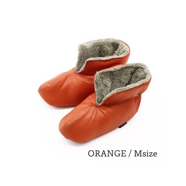 [V[Y@fB[X@[u[c@IW@Vt@̐Q܁@ɒg@yʁ@@{A{dl@@Xbp@u[c^Cv