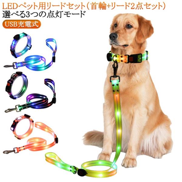 光るリード セット 光る首輪 LEDライト USB充電式 リード ペット首輪 首輪 【首輪＋リードセット】 サイズ調整可能 夜間 散歩グッズ お散歩ラ