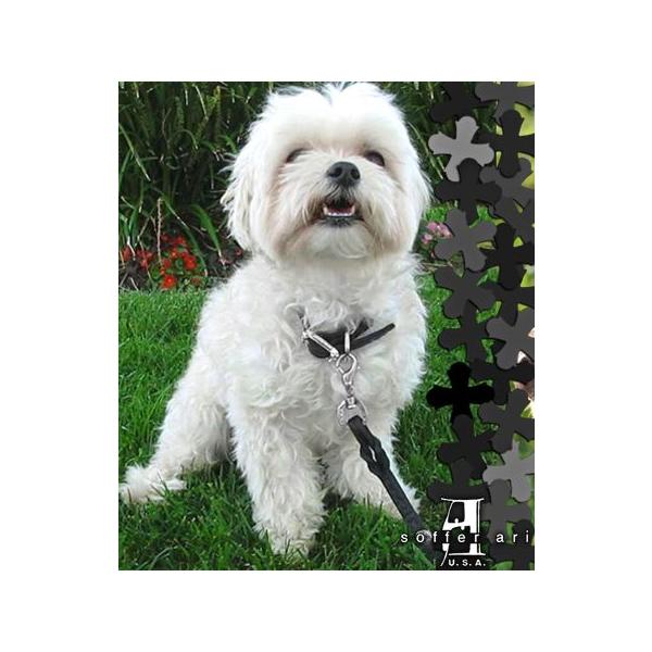 �\�t�@�A�� SofferAri DAINTY DOG LEAD 53 INCH LONG �h�b�O ���[�h ��� ��
