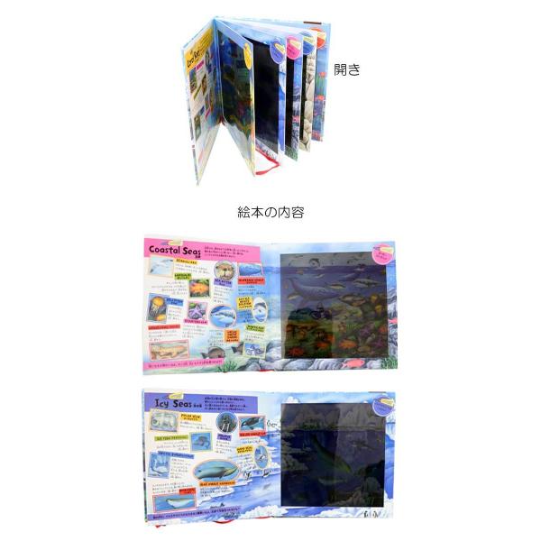 しかけ絵本 5歳 向けから 絵本ocean Hunt 海の生き物を探せ オーストラリアの絵本 Buyee Buyee Japanese Proxy Service Buy From Japan Bot Online