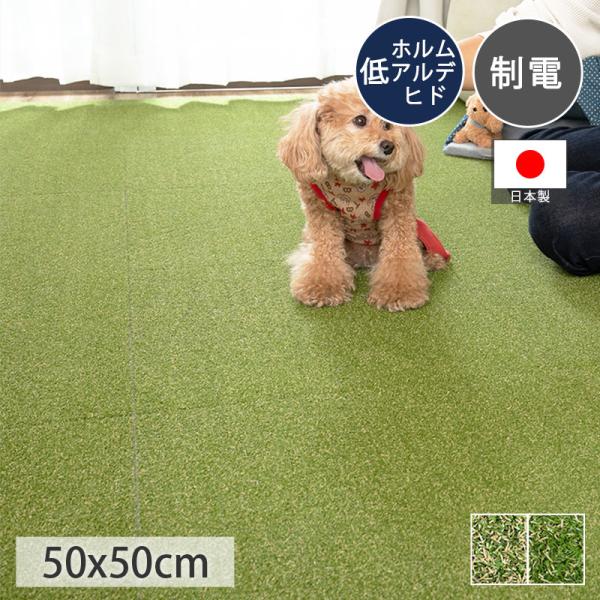 品名　人工芝 プラット素材 　芝生：ポリプロピレン100％　裏地：PVC100％ 目付   春色：485g　夏色：300g パイル長  春色：約6mm　夏色：約5mm生産国  日本注意 ※ご覧のモニターの環境、撮影環境により実物と色味が異な...