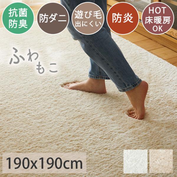 グラムスタイル ラグ ラグマット カーペット 洗える 防ダニ 防炎 2畳