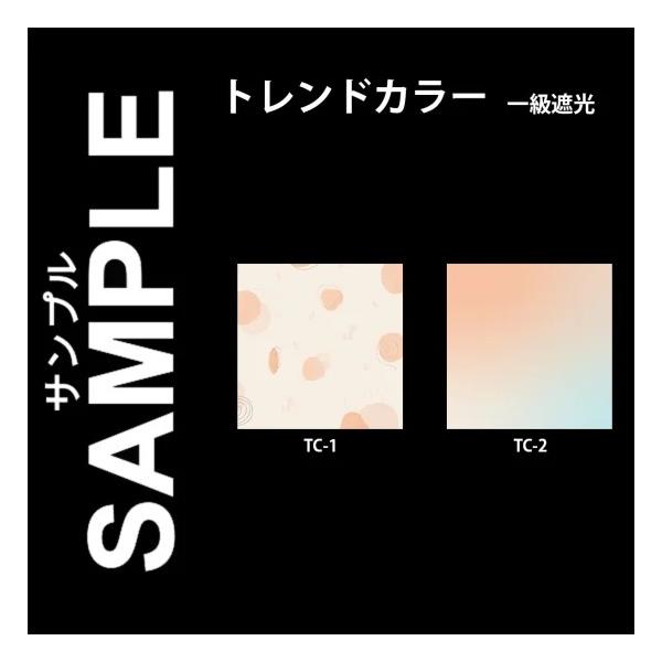 ・こちらは商品コード【1019726】ファスト ロールスクリーン(トレンドカラー柄 1級遮光)のサンプル請求のページです。・送料無料でお届けいたします。・サイズは5〜10cm角程度でご用意させていただきます。※サイズはご指定いただけません。...