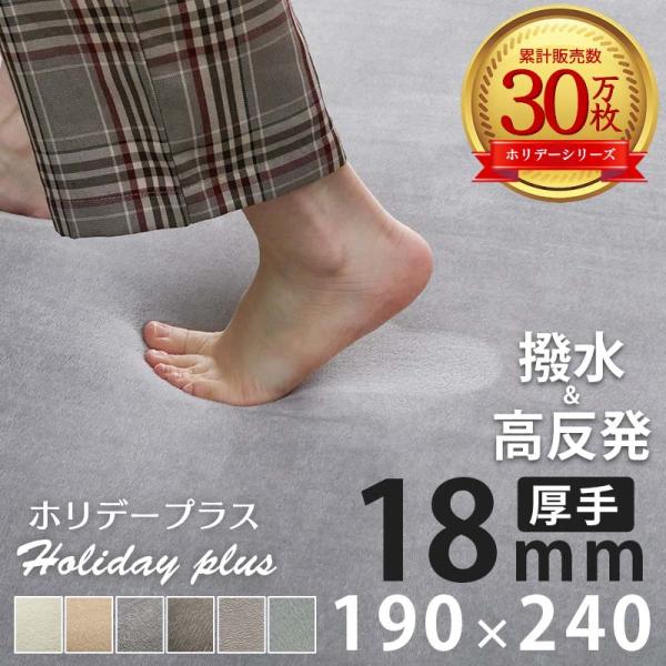品名 『ホリデープラス 高反発』素材　表地：ポリエステル100％　　　中材：高反発ウレタン（25D）　　　裏地：不織布（滑り止め加工）目付量 180g/m2生産国 中国梱包 圧縮梱包注意※開梱時に匂いがする場合は、風通しの良いところで陰干し...