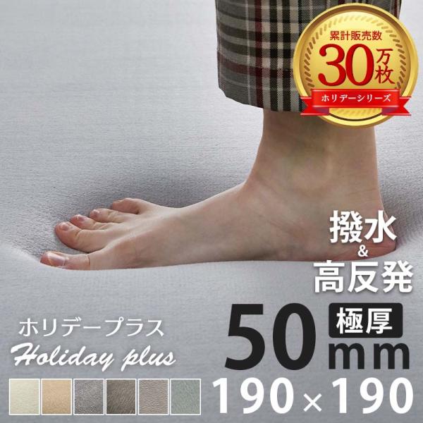 品名 『ホリデープラス 高反発』素材　表地：ポリエステル100％　　　中材：高反発ウレタン（25D）　　　裏地：不織布（滑り止め加工）目付量 180g/m2生産国 中国梱包 圧縮梱包注意※開梱時に匂いがする場合は、風通しの良いところで陰干し...