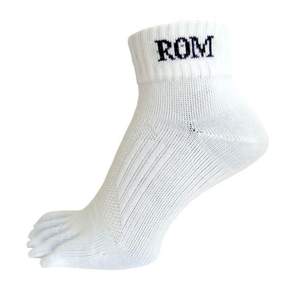 X|[cIWi [VO Ԃܖ{w\bNX ROM-0023A fB[X22cm`25cm Y25cm`27cm