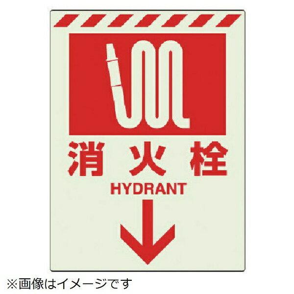 ~XebJ[ ΐ  831-09 jbg