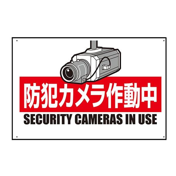 �h�ƃJ�����쓮�� �W���@300×450mm  SC�{�[�h 9-B