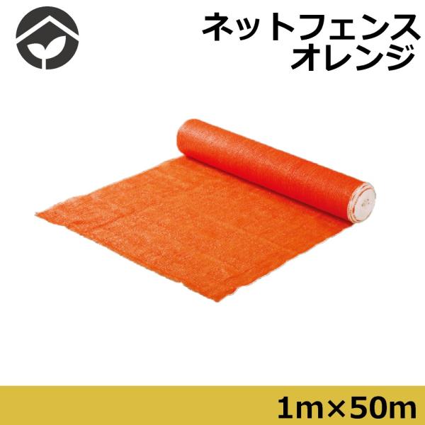 IWlbgtFX@1×50@IW@Hp݃lbgtFX