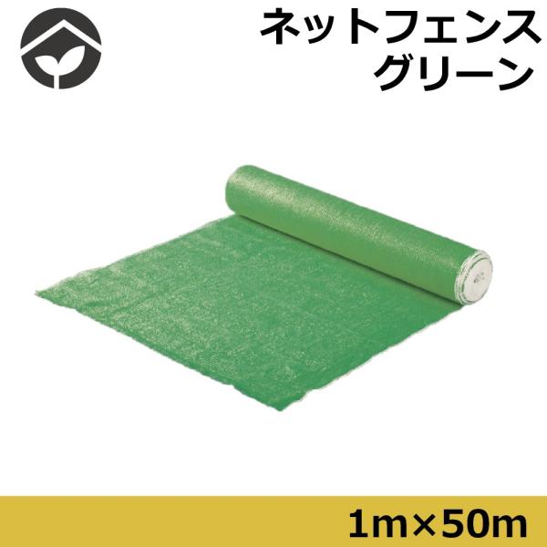 O[lbgtFX@1×50@Hp݃lbgtFX