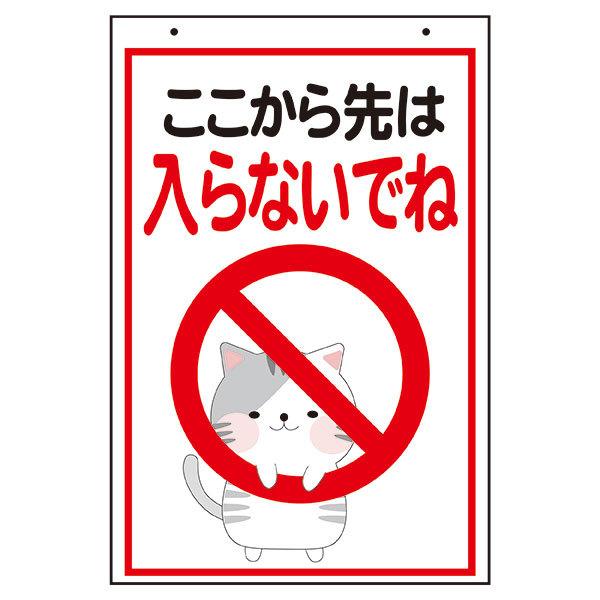 猫マグネットタイプ ここから先は入らないでね 450×300mm 無反射 猫