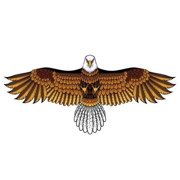 ◆ 当店は紙での領収書の発行は行っておりません◆ 初期不良は、1週間以内にご連絡下さい。それ以降の対応は出来ませんので、ご注意下さい。◆ 初期不良以外の故障は、メーカーにお問合せ下さい。【商品概要】【迫力あり】白頭鷲外見のカイトで、飛ぶ姿は...