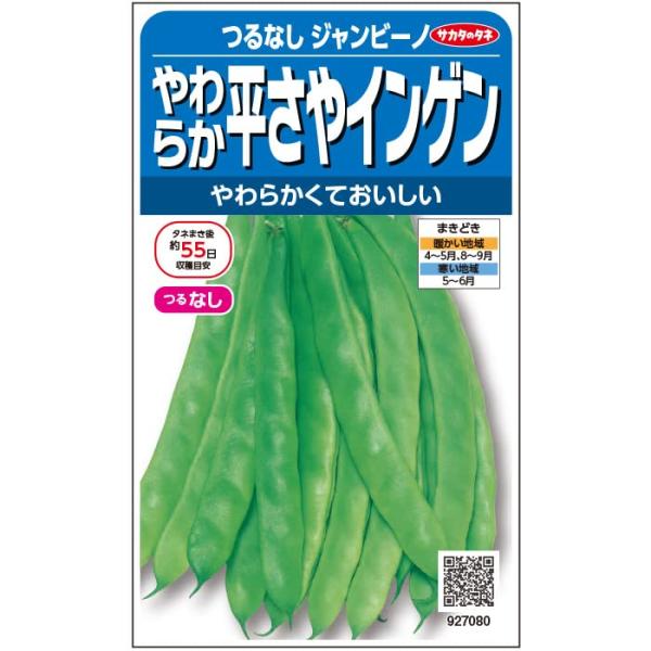 ◆ 当店は紙での領収書の発行は行っておりません◆ 初期不良は、1週間以内にご連絡下さい。それ以降の対応は出来ませんので、ご注意下さい。◆ 初期不良以外の故障は、メーカーにお問合せ下さい。【商品概要】ボリューム満点！煮込み料理で本領発揮【商品...