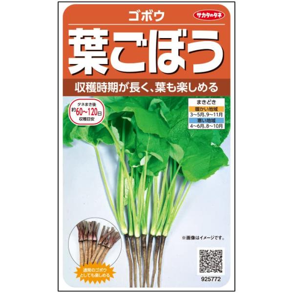 ◆ 当店は紙での領収書の発行は行っておりません◆ 初期不良は、1週間以内にご連絡下さい。それ以降の対応は出来ませんので、ご注意下さい。◆ 初期不良以外の故障は、メーカーにお問合せ下さい。【商品概要】収穫時期が長く 葉も楽しめる【商品説明】【...