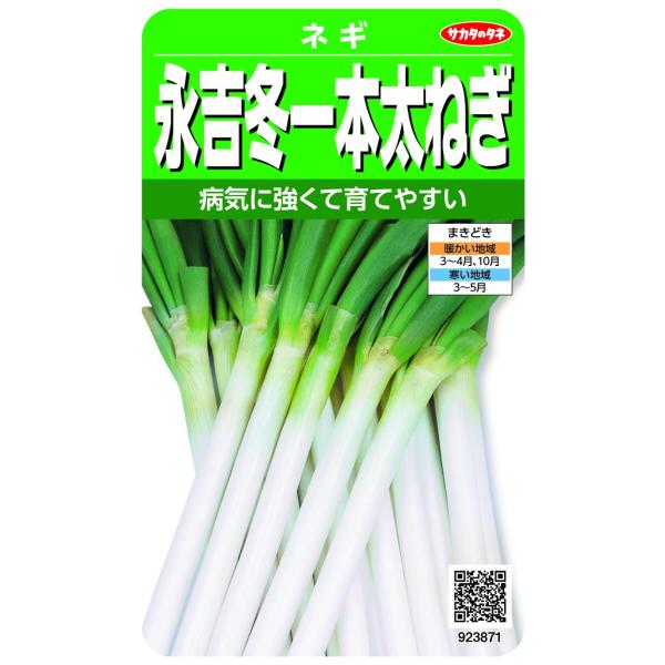 ◆ 当店は紙での領収書の発行は行っておりません◆ 初期不良は、1週間以内にご連絡下さい。それ以降の対応は出来ませんので、ご注意下さい。◆ 初期不良以外の故障は、メーカーにお問合せ下さい。【商品概要】軟白部が長くて ツヤがある 病気に強い！【...