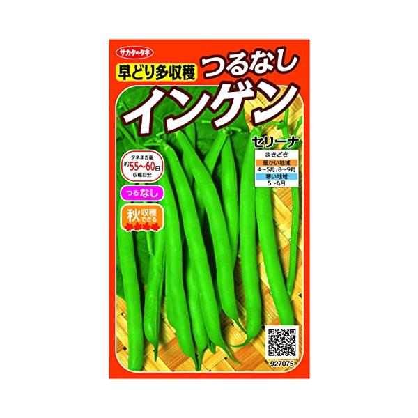 ◆ 当店は紙での領収書の発行は行っておりません◆ 初期不良は、1週間以内にご連絡下さい。それ以降の対応は出来ませんので、ご注意下さい。◆ 初期不良以外の故障は、メーカーにお問合せ下さい。