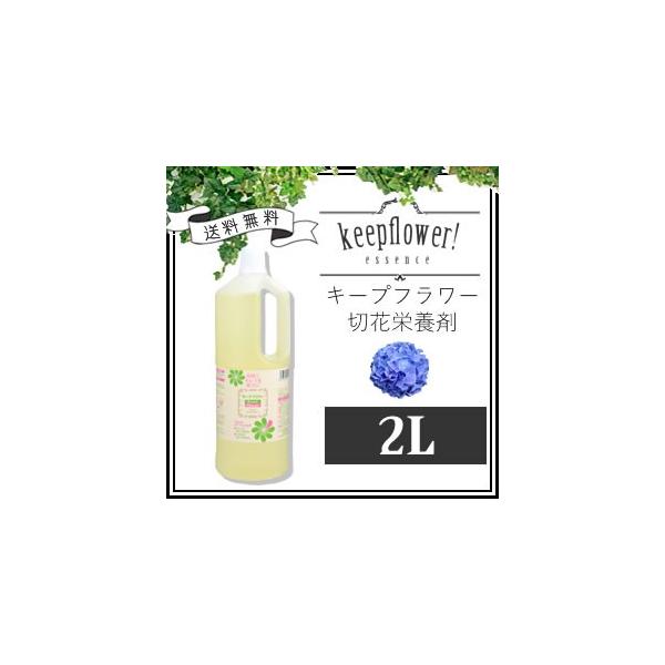 ؉ԉh{/؉ԉ/t[Tvg L[vt[ 2L×P{