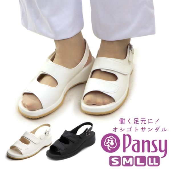 T_ pW[ pansy fB[X HN5303 i[XT_ bxgfUC 2203 d