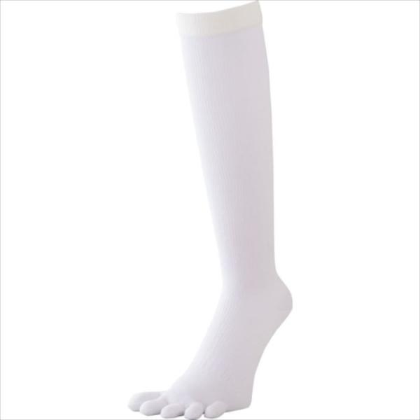 SSK(GXGXPC) 5{wJ[\bNXi⋭j 10 YA1501 1806