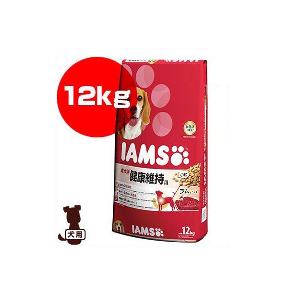 ACX [IAMS] p Nێp CX  12kg }[XWp a ybg t[h  hbO v~A A_g