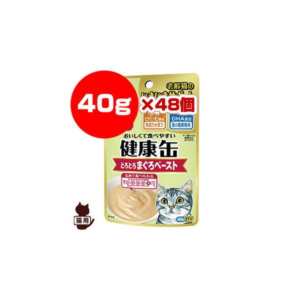 アイシア　健康缶 総合栄養食　キャットフード高齢猫18歳まぐろペースト 102個 アイシア 国産健康缶パウチ オーラルケア まぐろペースト 40G