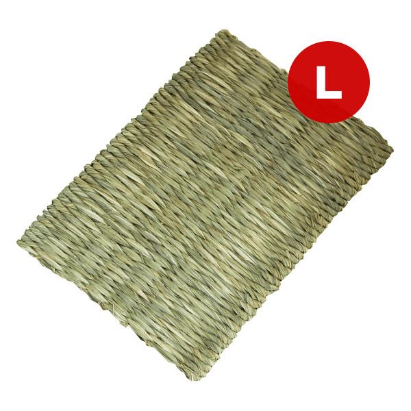 他サイト： わらっこ倶楽部 うさぎの座ぶとん Ｌ KAWAI ▼a ペット グッズ 小動物 ウサギ アジアンビタチモシーの商品画像