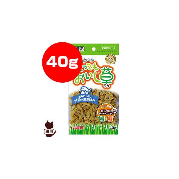 runpet_4973321929649