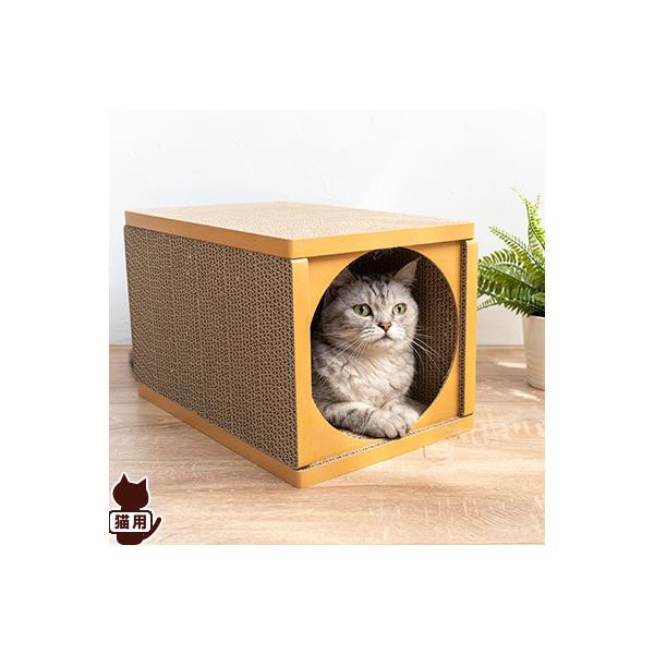 Happy Days Bƒ܂ƂnEX LbgnEXO ybgv a ybg ObY L Lbg _{[ gȒP