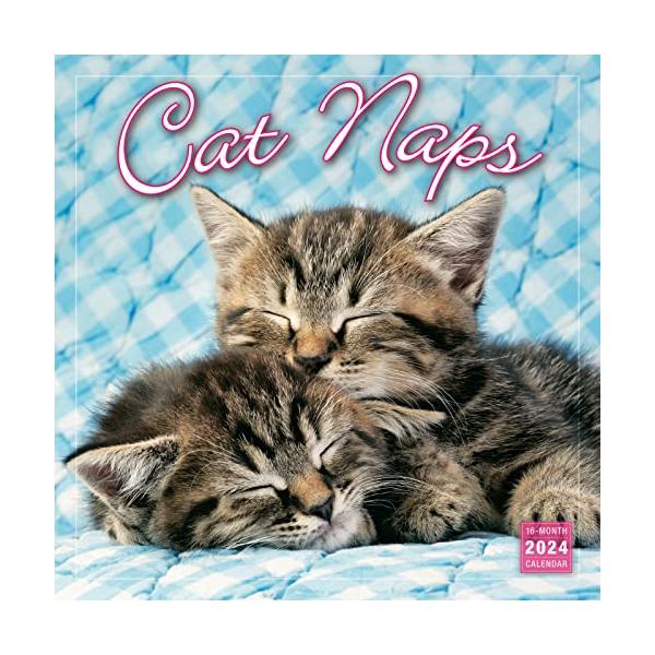 Cat Naps 【並行輸入】