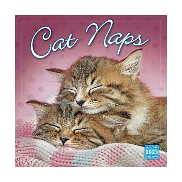 Cat Naps 2023 Calendar (WALL 16 MONTH) 【並行輸入】