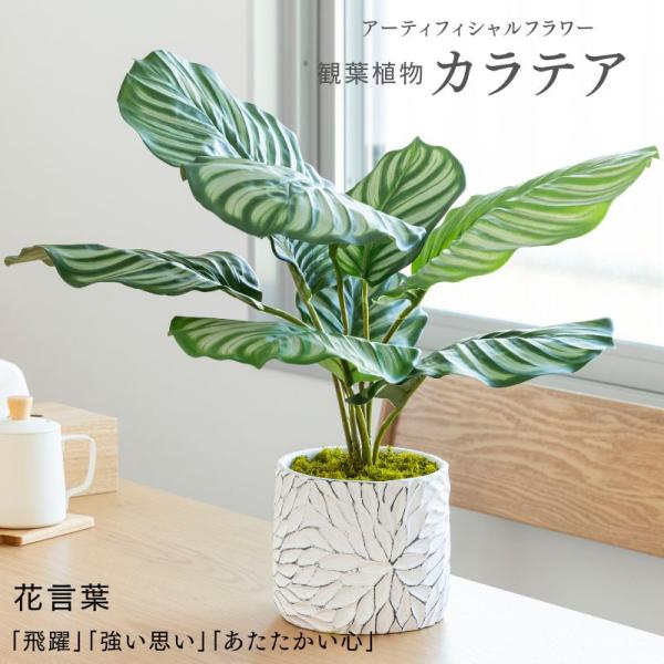 造花 観葉植物 カラテア 新築祝い 結婚祝い 開店祝い 誕生日プレゼント アーティフィシャルグリーン ギフト 母の日 爆買