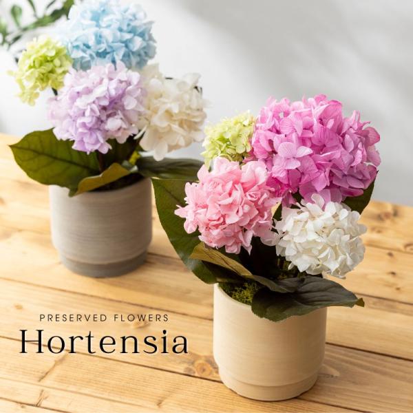 プリザーブドフラワー 開店祝い オルタンシア お見舞い 退院祝い 開業祝い 新築祝い 退職祝い 卒業 誕生日プレゼント プリザードフラワー ギフト 母の日 爆買