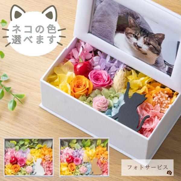 プリザーブドフラワー 写真立て 猫 ミニョン フォトフレーム