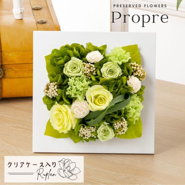 本物の花フレーム入り リーフ インテリア 壁掛け 24K GOLD　◯◯ ruplan_pf-propre