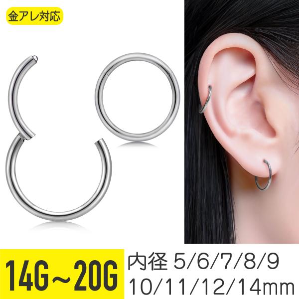 プラチナ セグメントピアス 16号 内径8mm（直径10mm）２個セット プラチナ セグメントピアス 16号 内径8mm（直径10mm）2個セット