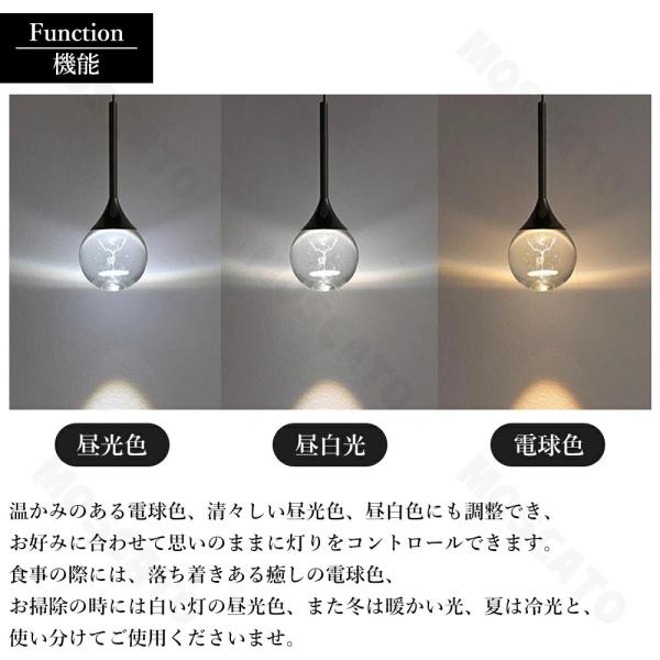 ruriko-store_dd01_5_d_20260504192630