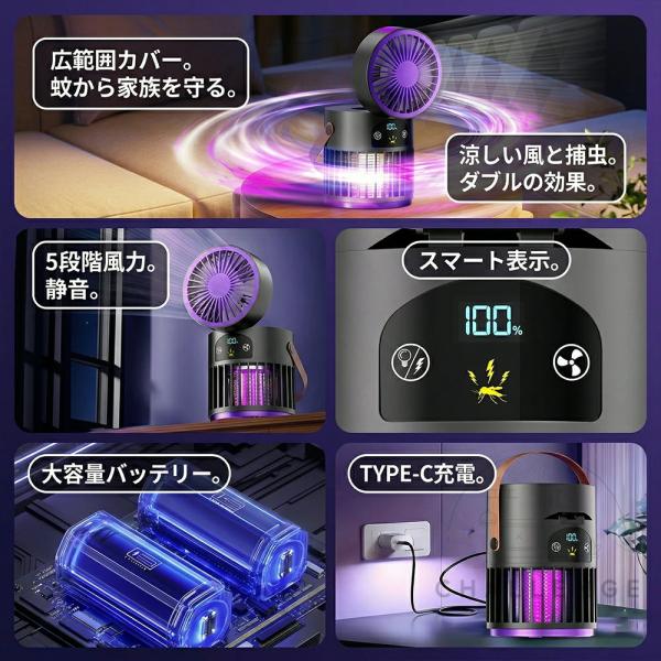 ruriko-store_fs05_2_d_20260508184341