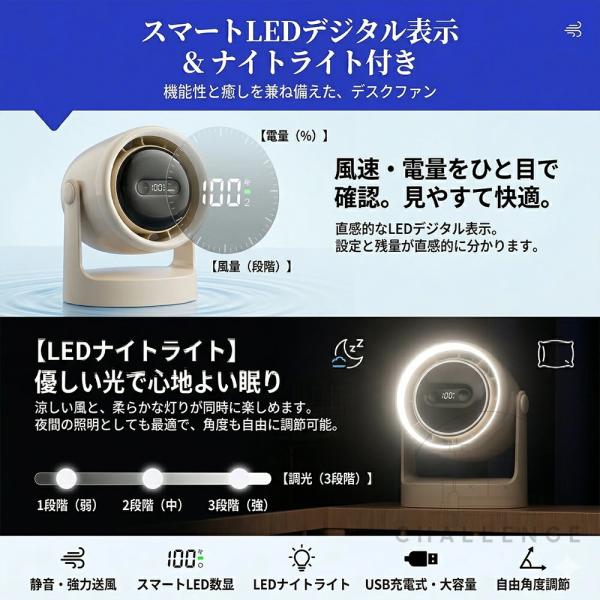 ruriko-store_fs08_5_d_20260508184835