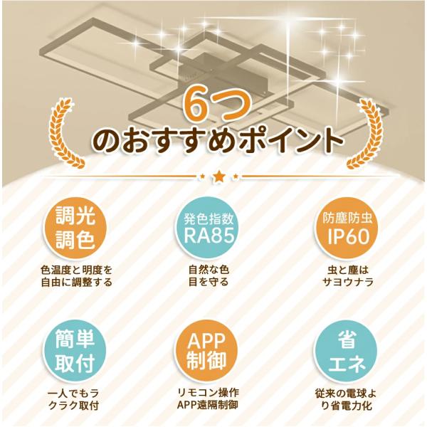 ruriko-store_xdd02_1_d_20260504213035