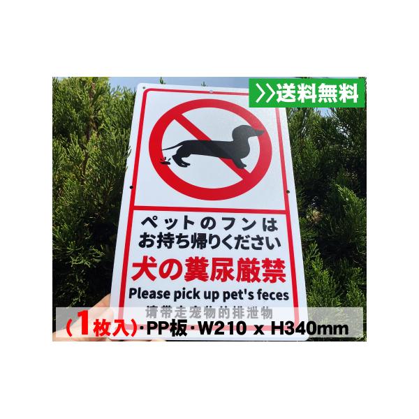 1枚入 送料無料 激安看板 『犬の糞尿厳禁』標識 (PP)板1mm厚約W210×H340ミリ 警告 禁止 安全標識 注意喚起 耐水 屋外対応 プレート看板