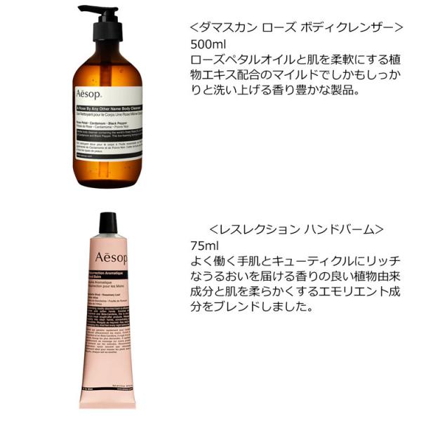 イソップ Aesop ギフトセット 限定品 ナーチャラー ボディソープ ハンドクリーム リップ ボディケア セット コスメ 化粧品 ケア用品 美容 キット 21 Buyee Servicio De Proxy Japones Buyee Compra En Japon