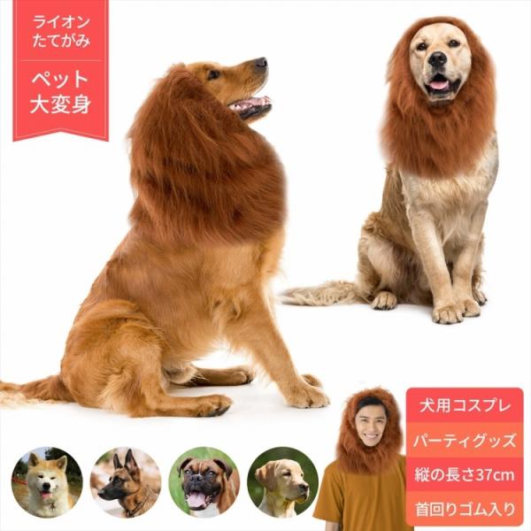 ライオン たてがみ 犬用 コスチューム 人間 人間用 コスプレ ネックウォーマー ペット 衣装 おもちゃ 忘年会 新年会 パーティーグッズ 変装 キング ラッシュモール 通販 Paypayモール