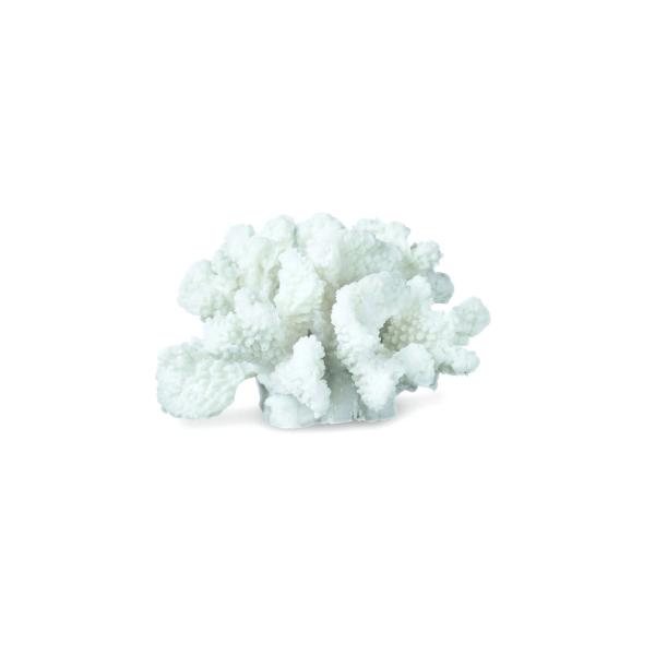 Mette Ditmer R[`[t̃fR[VIuWF CORAL 02 u X TS