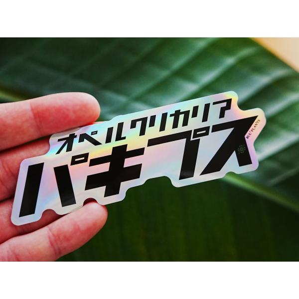 オペルクリカリア・パキプス　防水ステッカー　（種子同梱不可商品）
