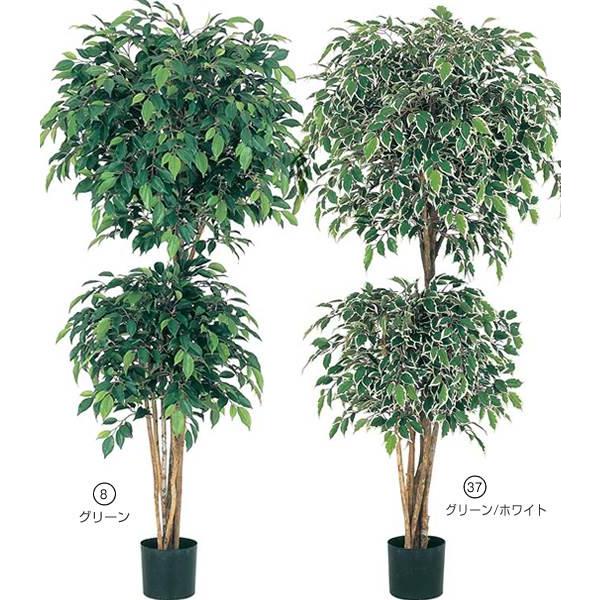 lHϗtA 150cm tBJX_uC[c[ii`gNj [ONSLETR7572]