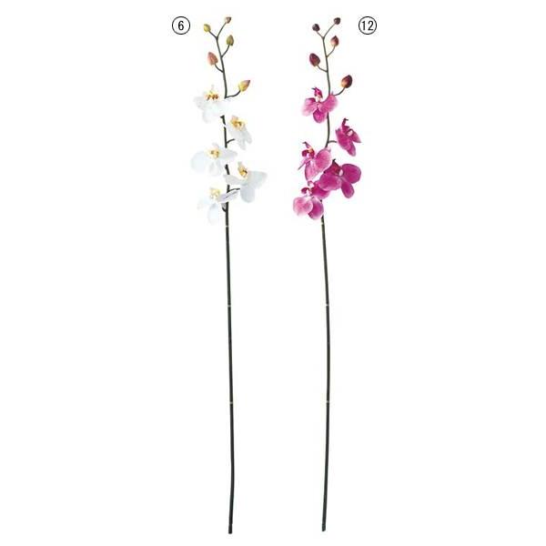   t@mvVXi10j  t[ lHϗtA[ONSFLSP1775]